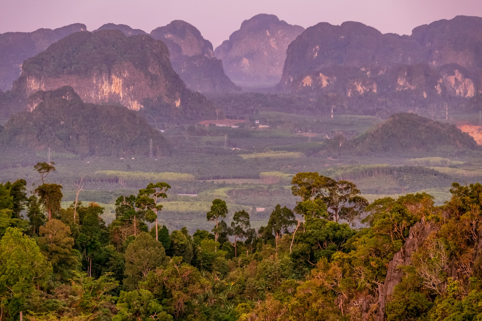 a view of a mountain range with many trees in the foreground