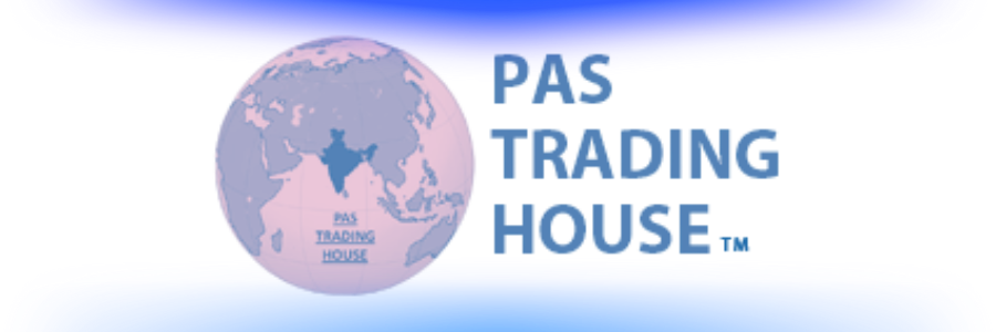 NikNAmiTravels_Client_6